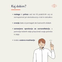 Spletna delavnica - Pot k notranjemu ravnovesju: Učinkovite vaje in tehnike za premagovanje čustvenih izzivov​ - Image 3